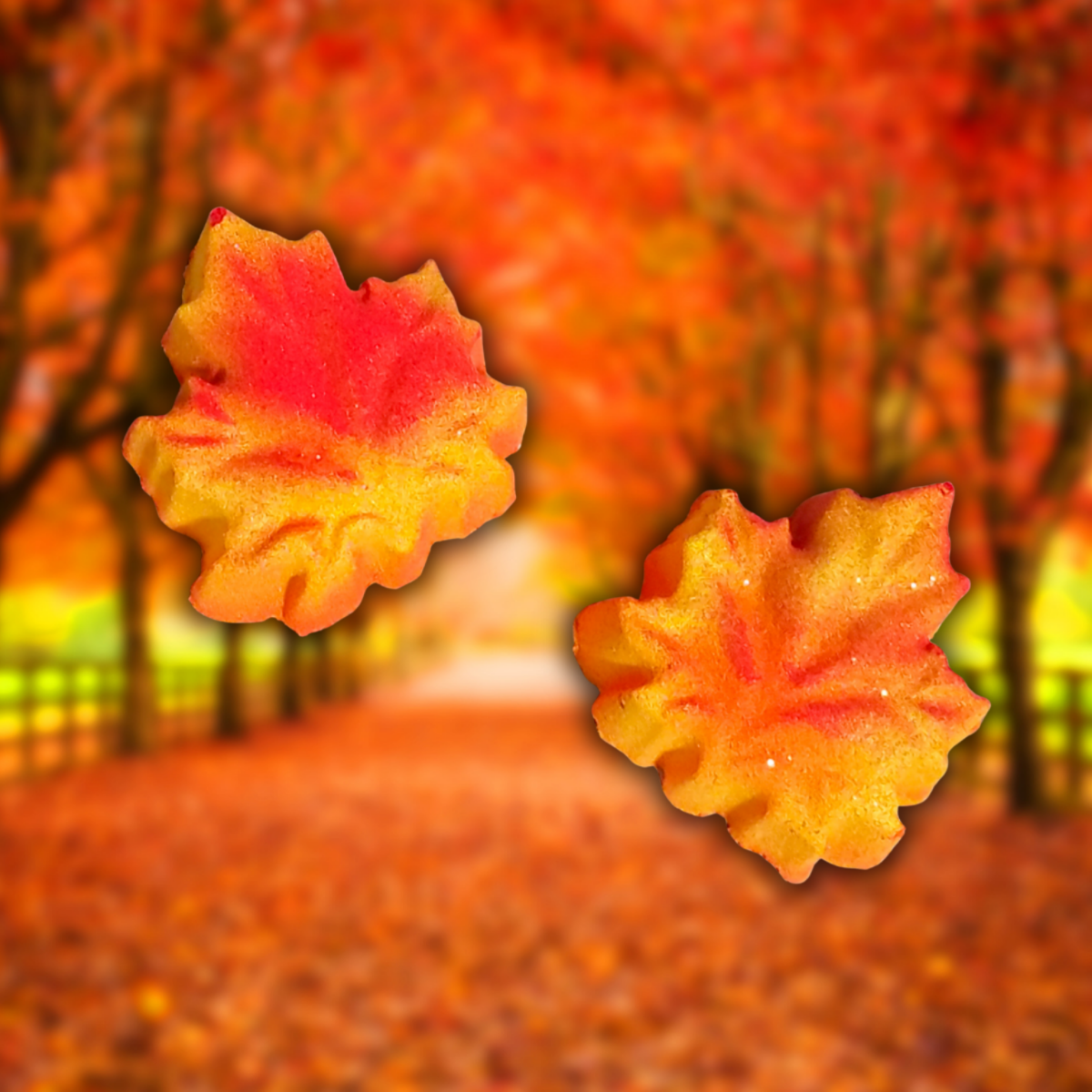 Fall leaves bath bomb-fall-autumn-party favors-gift ideas