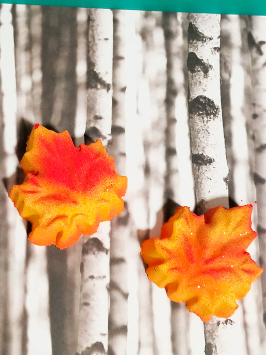 Fall leaves bath bomb-fall-autumn-party favors-gift ideas